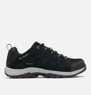 Columbia Crestwood Men Hiking Shoes | DCTXOG-960