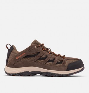 Columbia Crestwood Men Hiking Shoes | HEQJWX-059