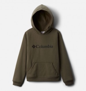 Columbia Logo Kids' Hoodies | FENBJQ-563