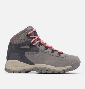 Columbia Newton Ridge Plus Women Hiking Shoes | YFXOGT-257