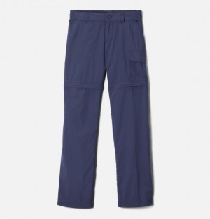 Columbia Silver Ridge IV Convertible Kids' Pants | SOIPXU-308