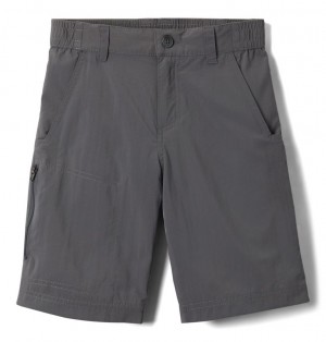 Columbia Silver Ridge IV Kids' Shorts | USWPFX-514