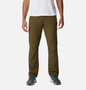 Columbia Silver Ridge Men Cargo Pants | QTBZGR-901