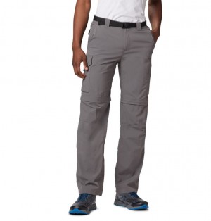 Columbia Silver Ridge Men Hiking Pants | OAFJCN-209