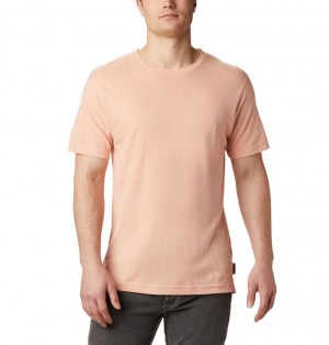 Columbia Summer Chill Men T-Shirts | LEUIPQ-539