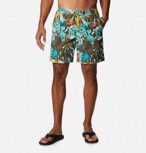 Columbia Summerdry Men Shorts | XHWBJD-894