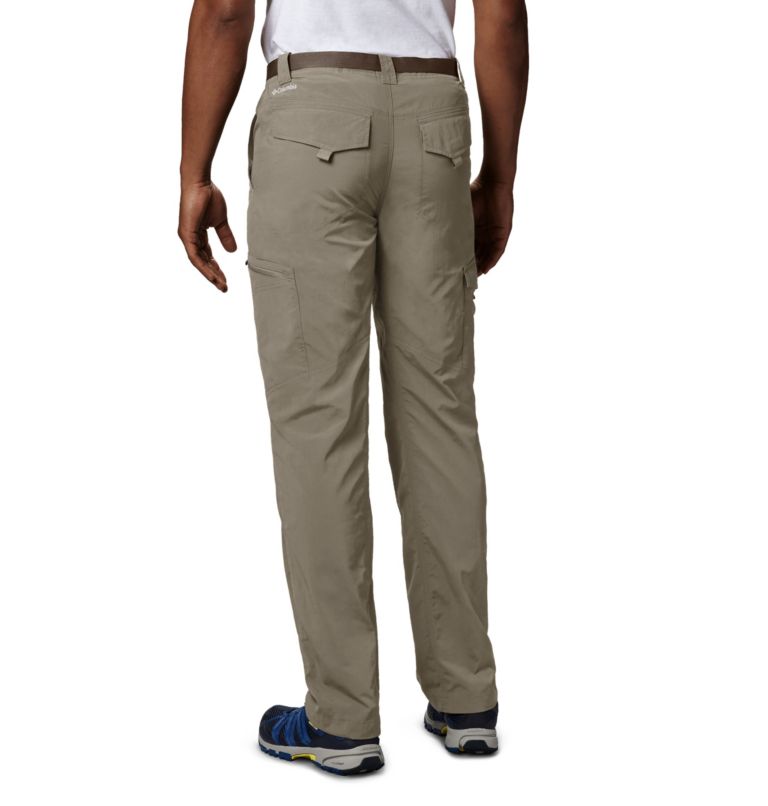 Columbia Silver Ridge Men Cargo Pants | COGTYS-453